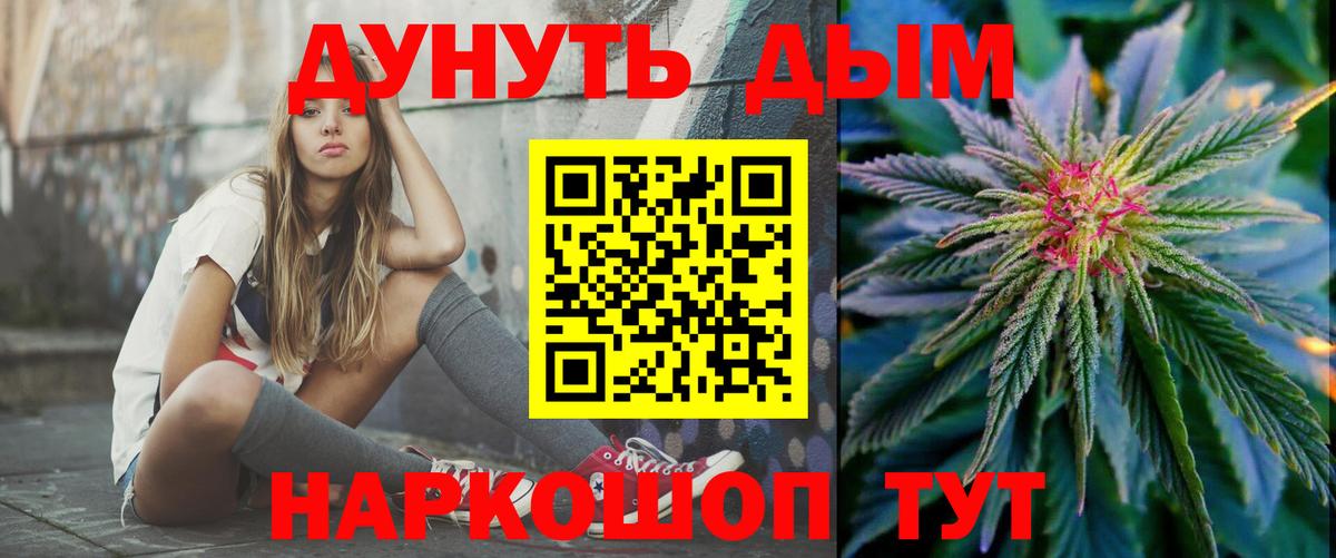 Бошки Шишки планчик Десногорск